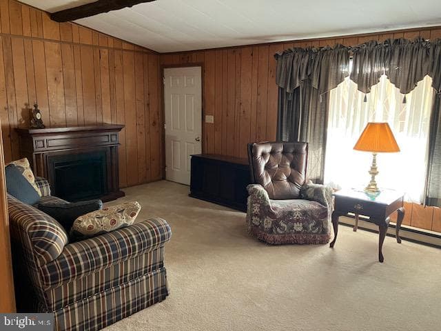 30 Willard Street photo 9