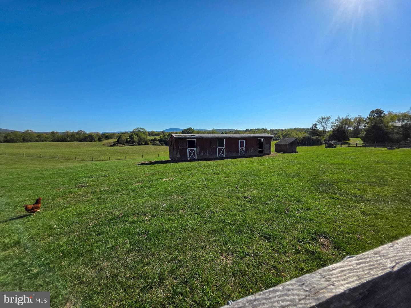 14637 Bain Road photo 65