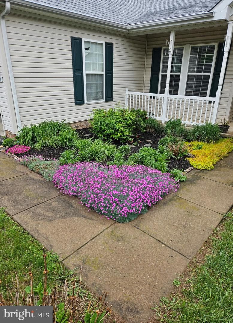 121 Colton Court photo 101