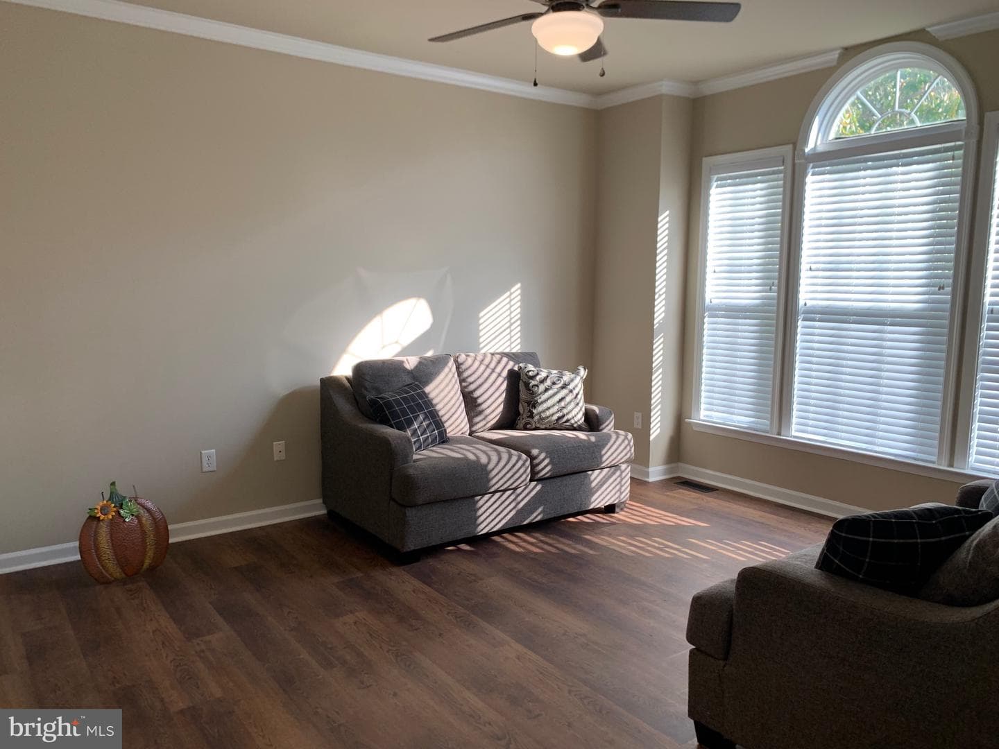 121 Colton Court photo 13