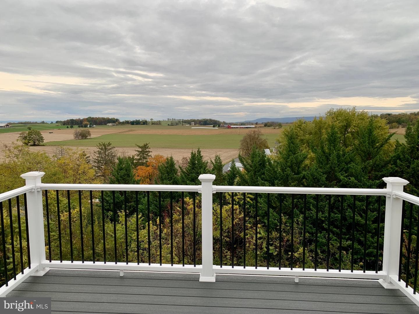 121 Colton Court photo 34