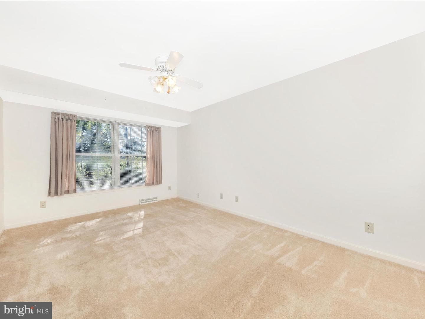 18213 Summerlin Drive photo 18