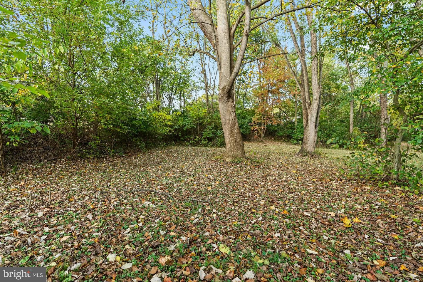 18347 Manor Church Road photo 61