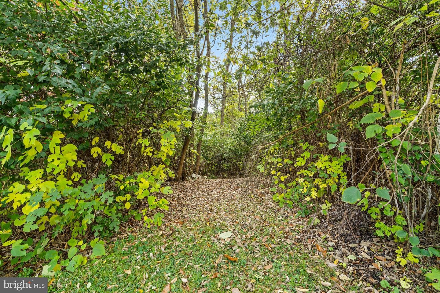 18347 Manor Church Road photo 62