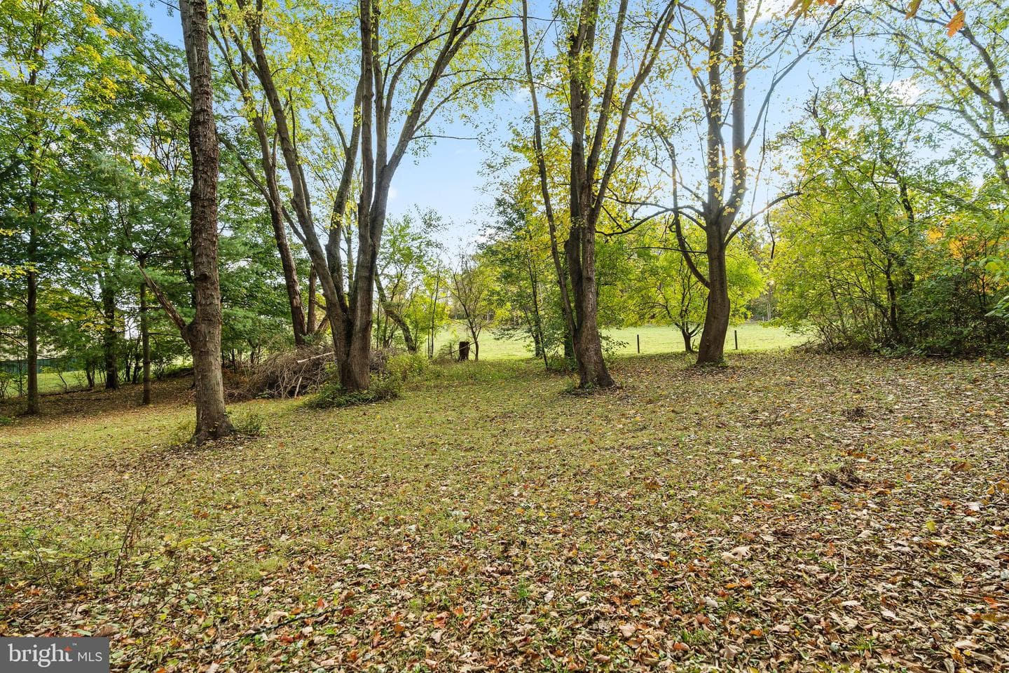 18347 Manor Church Road photo 63