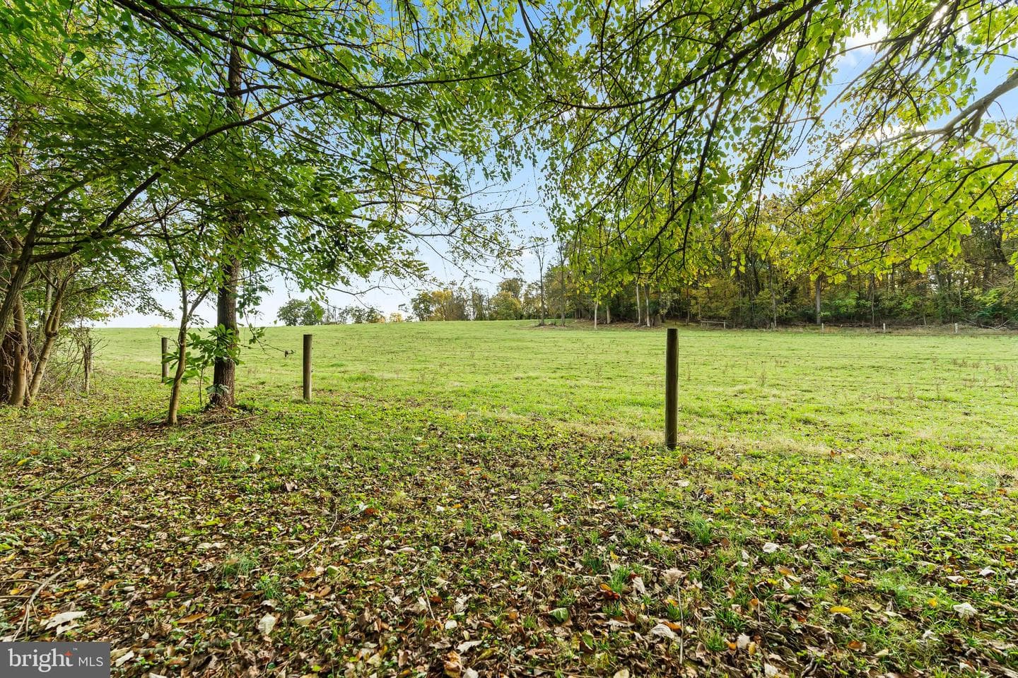 18347 Manor Church Road photo 67