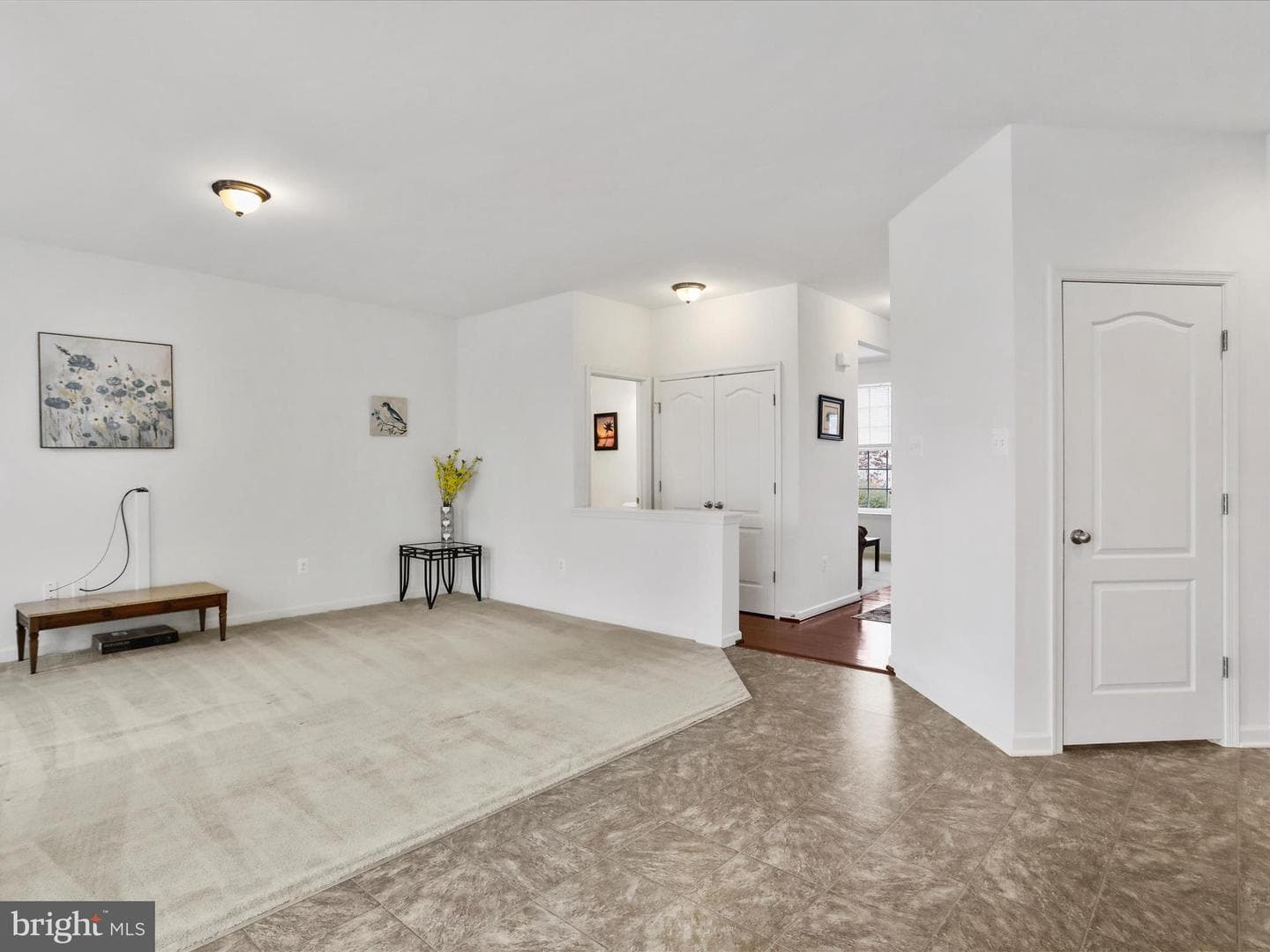 19111 Black Maple Way photo 16