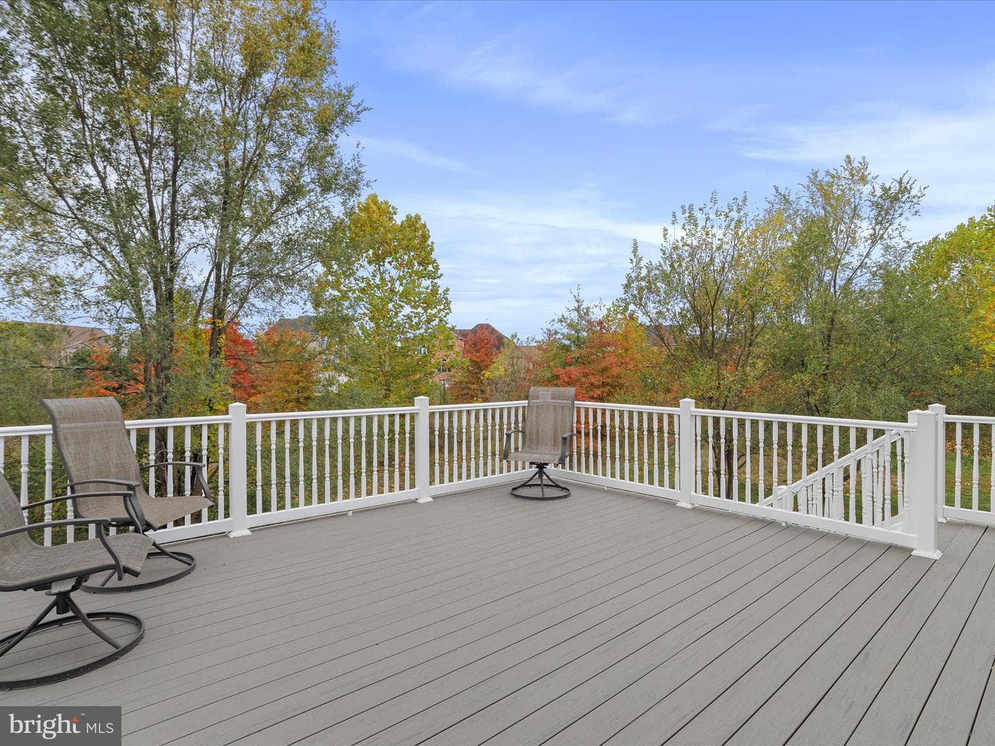 19111 Black Maple Way photo 19