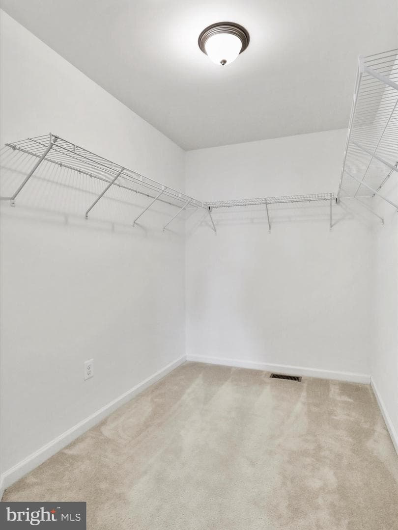 19111 Black Maple Way photo 27