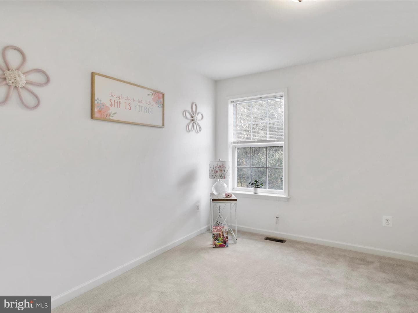 19111 Black Maple Way photo 31