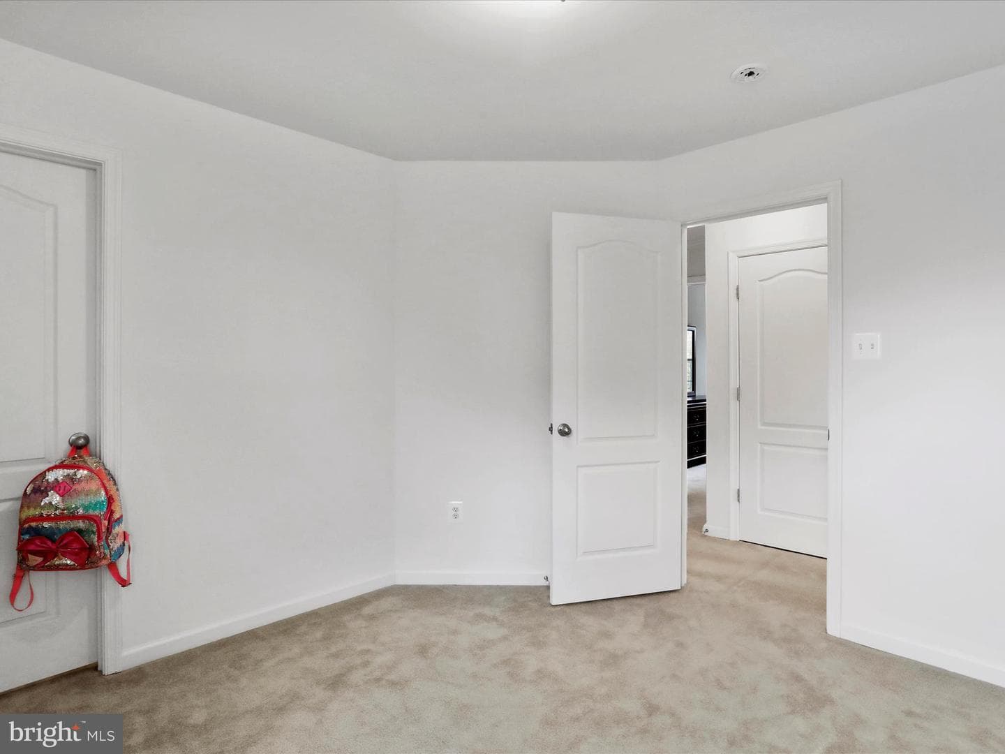 19111 Black Maple Way photo 32