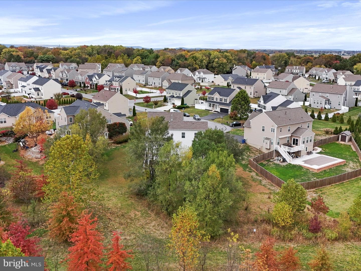 19111 Black Maple Way photo 46