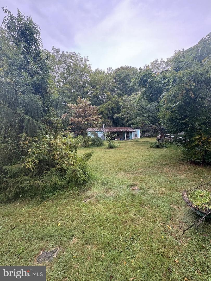 8042 Avis Mill Road photo 19