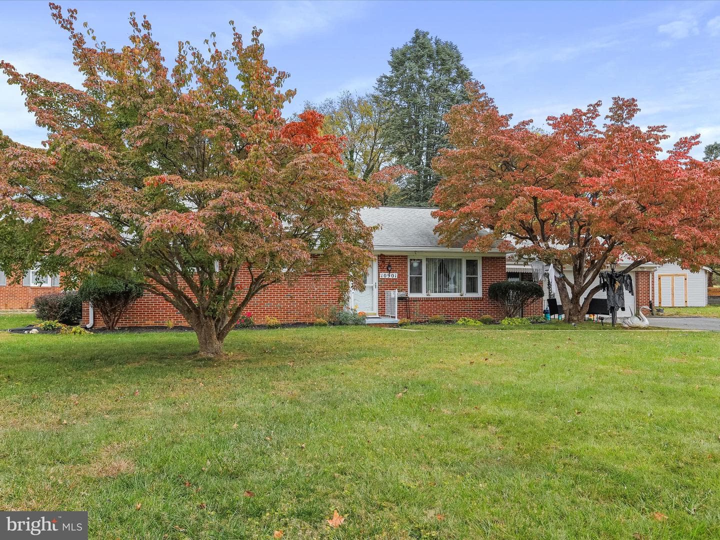 10901 Roessner Avenue photo 5