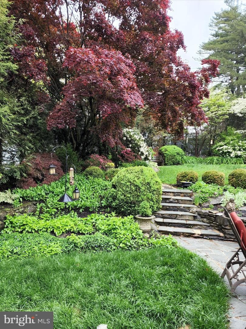 1165 The Terrace photo 32