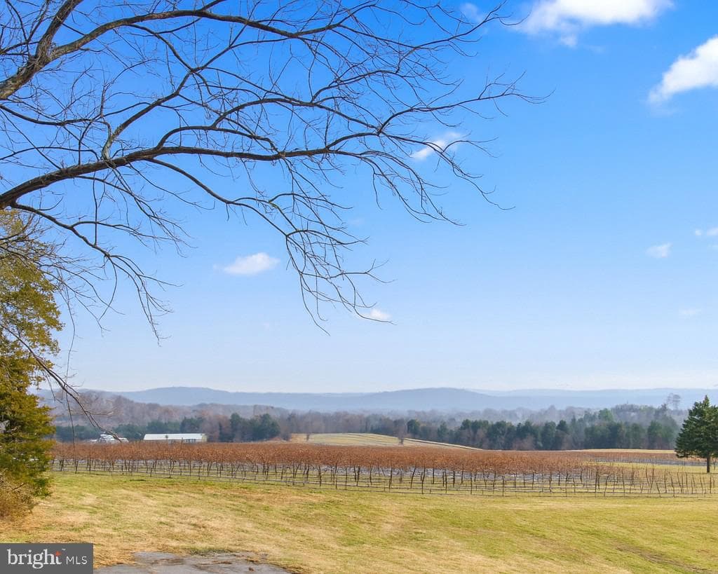 4723 Harpers Ferry Road photo 6