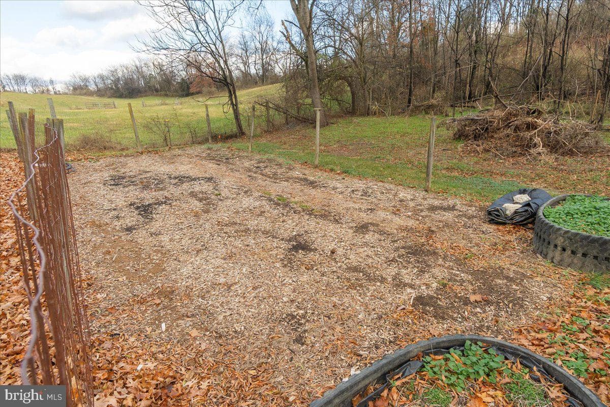 11701 Walnut Point Road photo 42