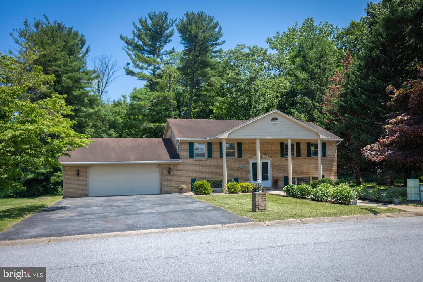 10813 Wilcox Drive photo 2
