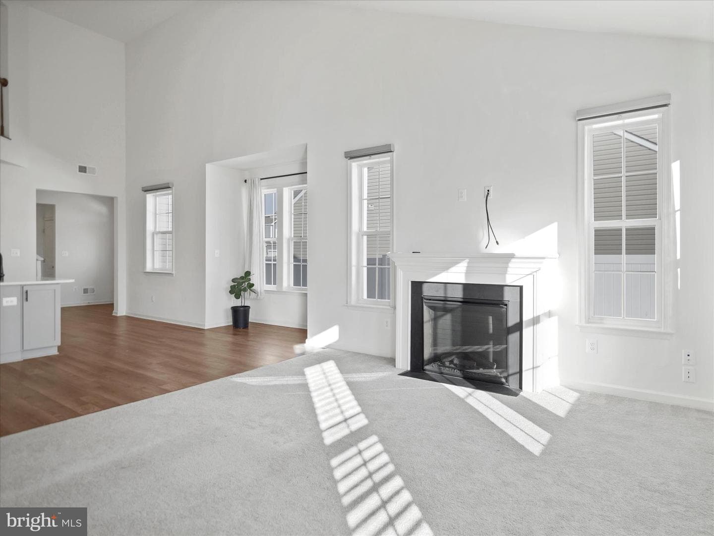 10227 Rashti Court photo 16
