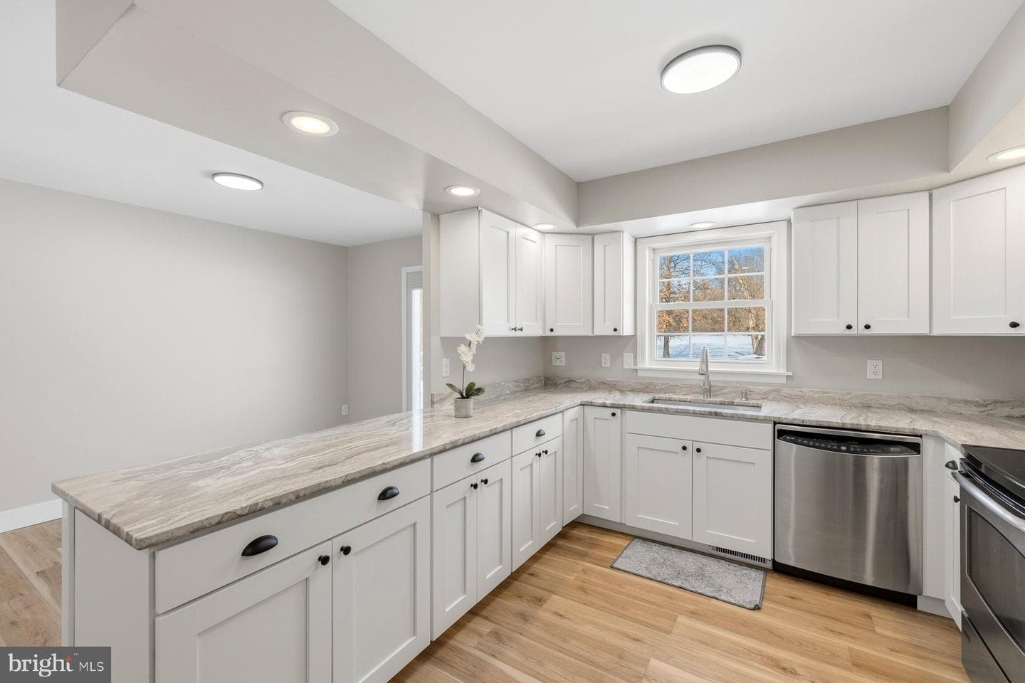 10229 Mar Rock Drive photo 40
