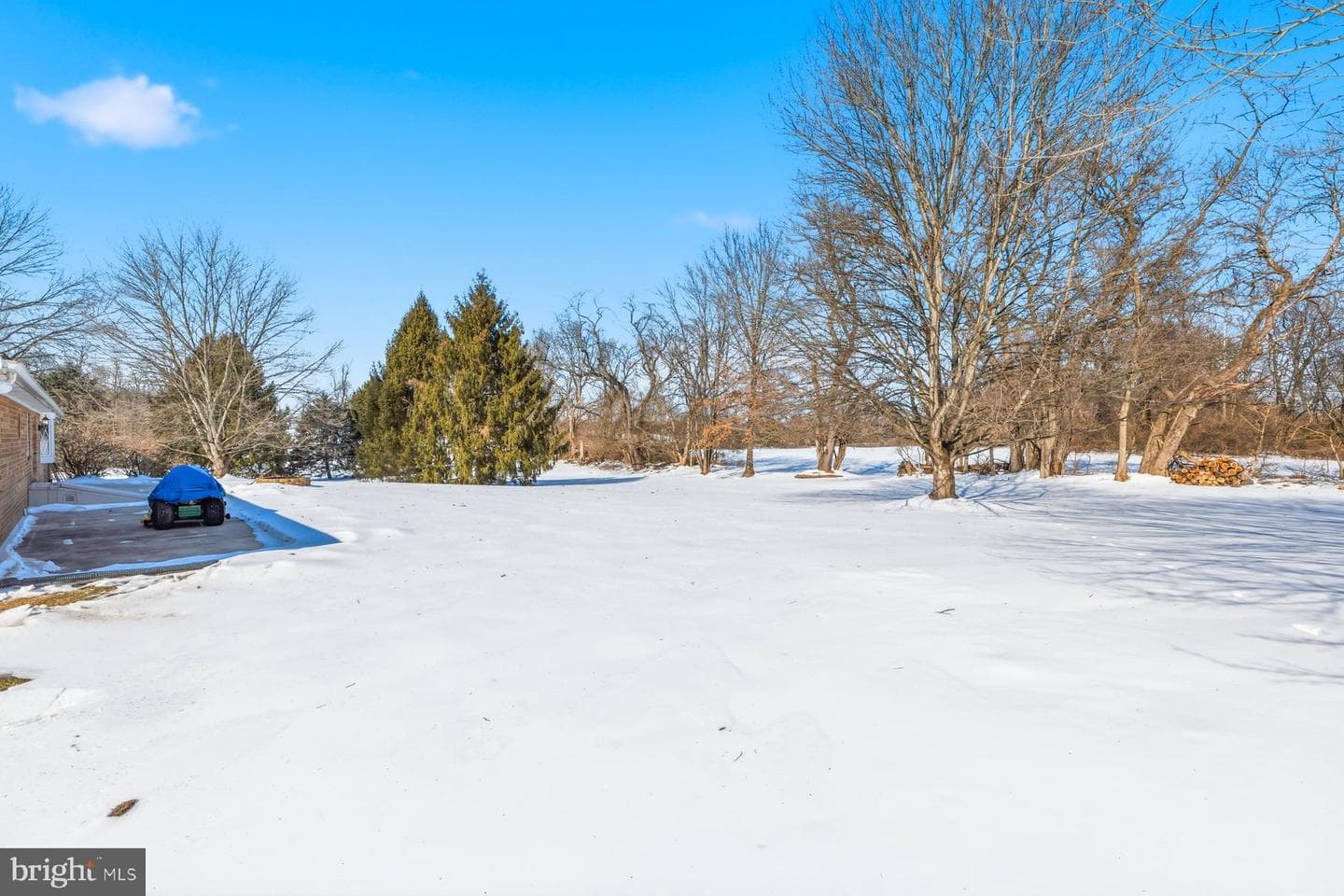 10229 Mar Rock Drive photo 5