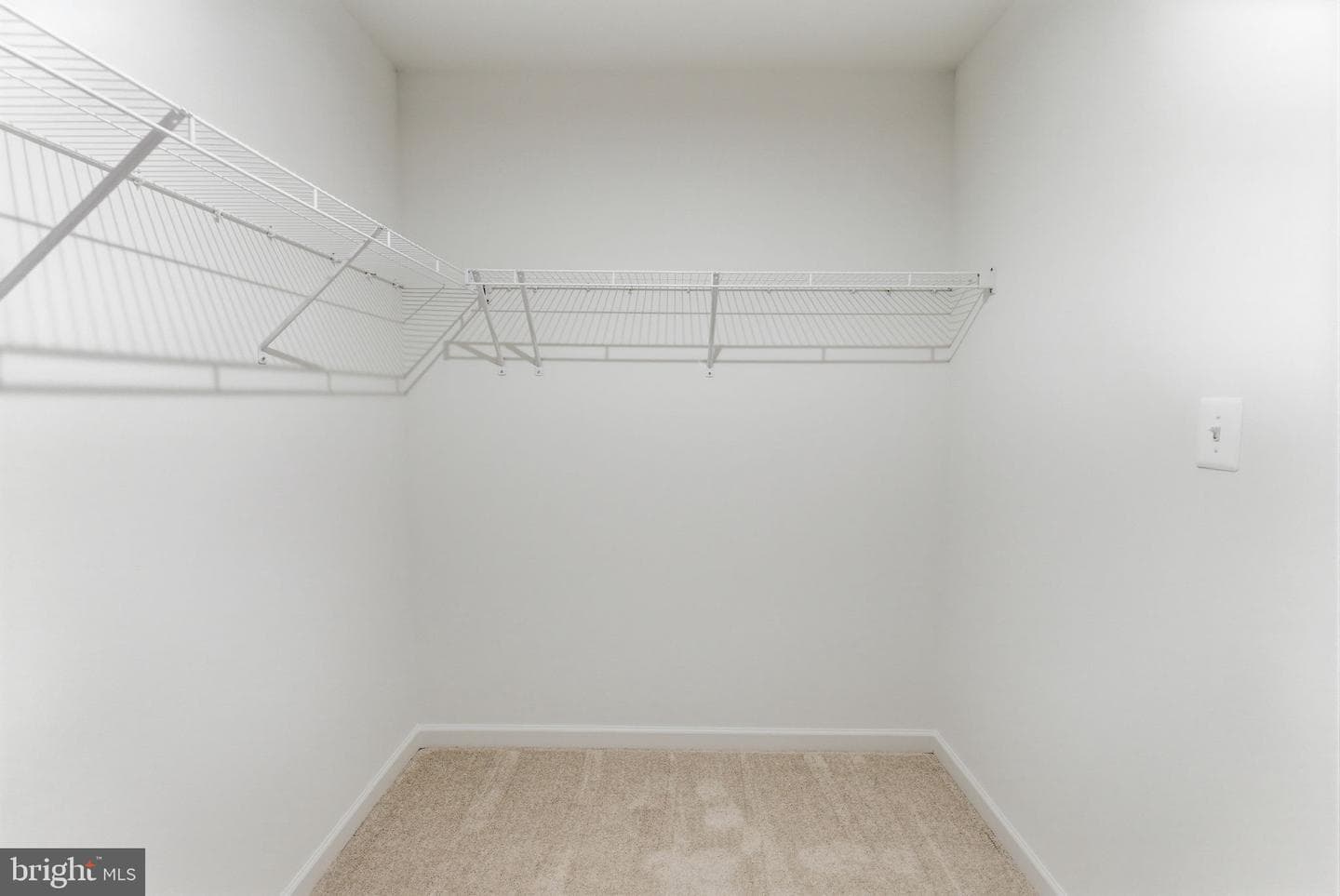 13352 Snapdragon Way photo 15
