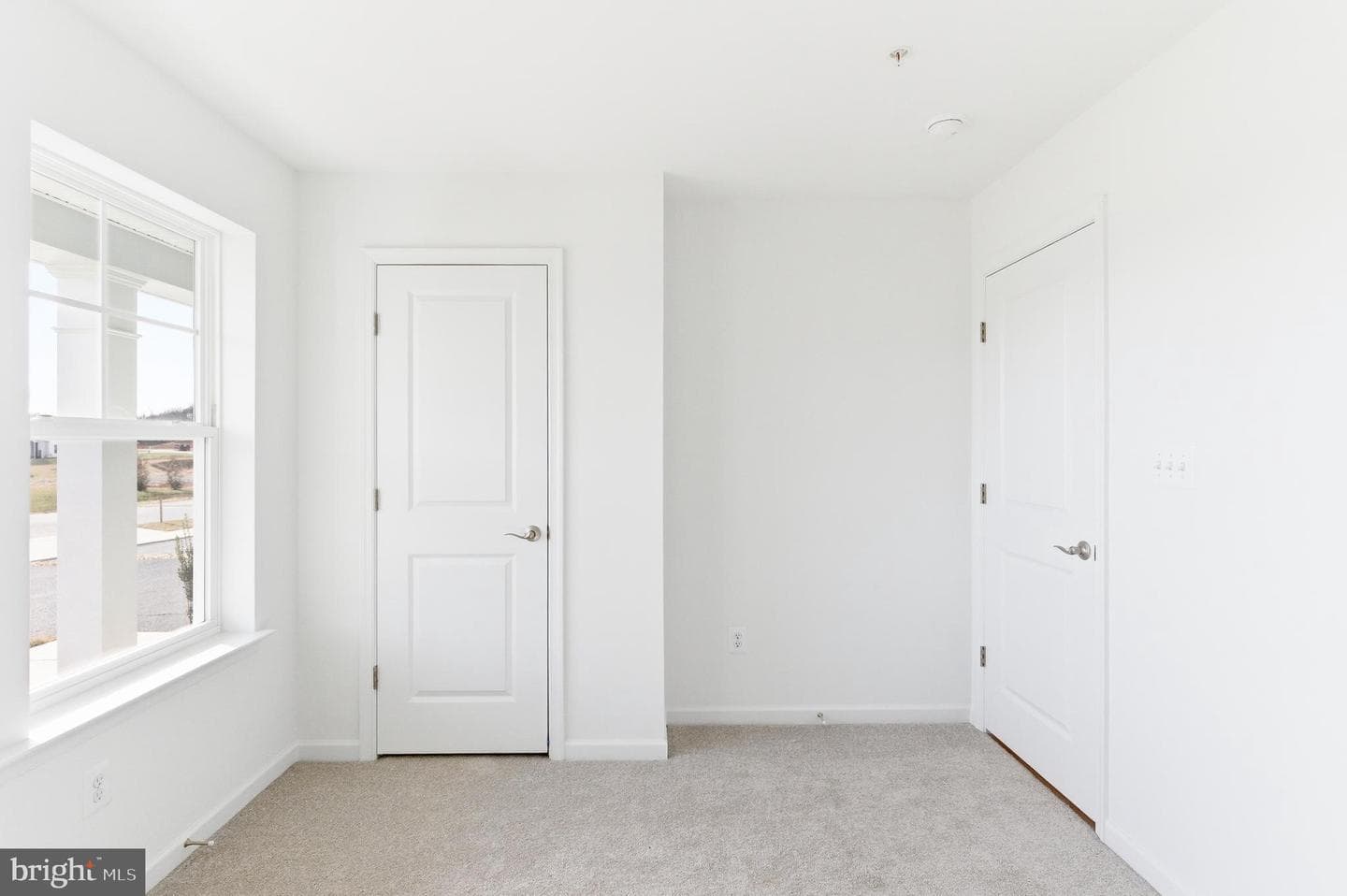 13354 Snapdragon Way photo 18
