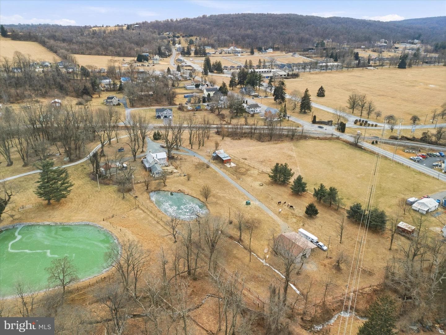 25210 Cascade Road photo 83