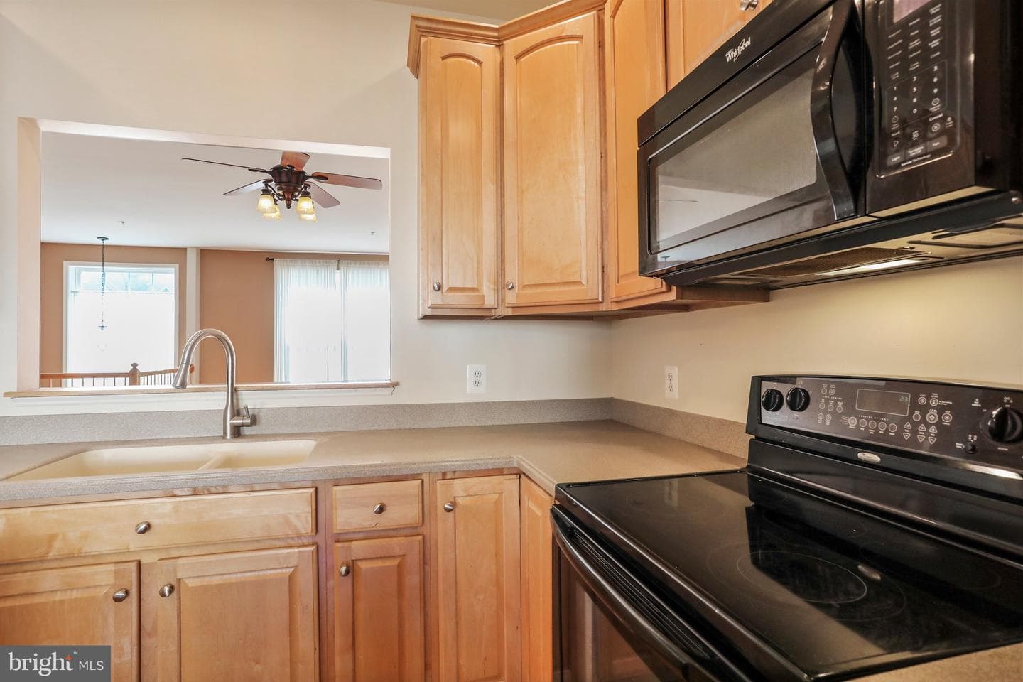 310 Green Fern Circle photo 12