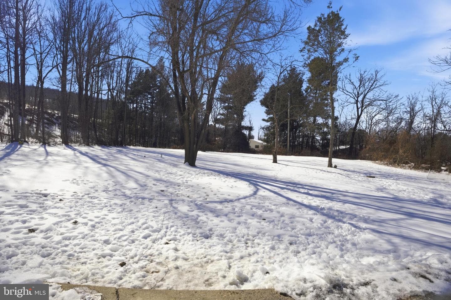 23453 Fruit Tree Drive photo 21