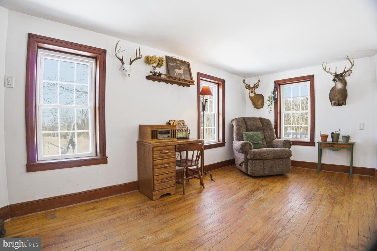 23453 Fruit Tree Drive photo 6