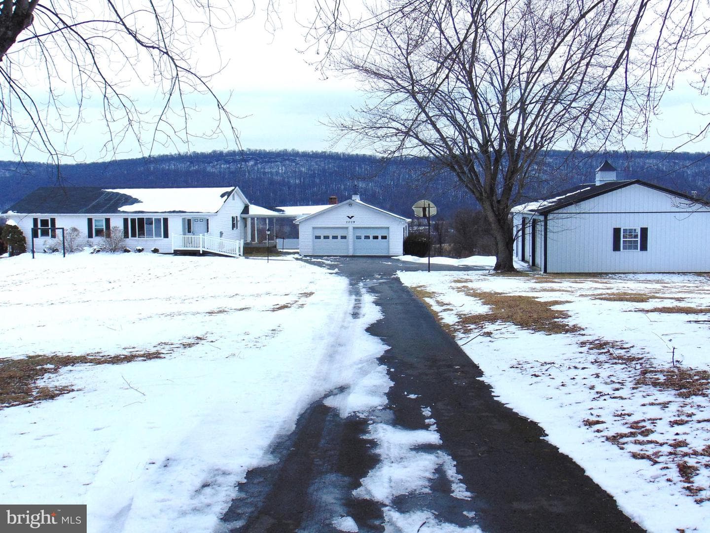 2029 Reed Road photo 3