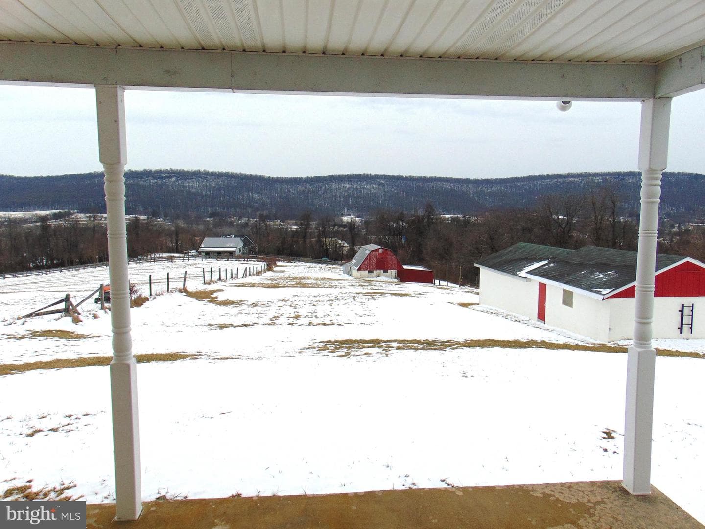 2029 Reed Road photo 60