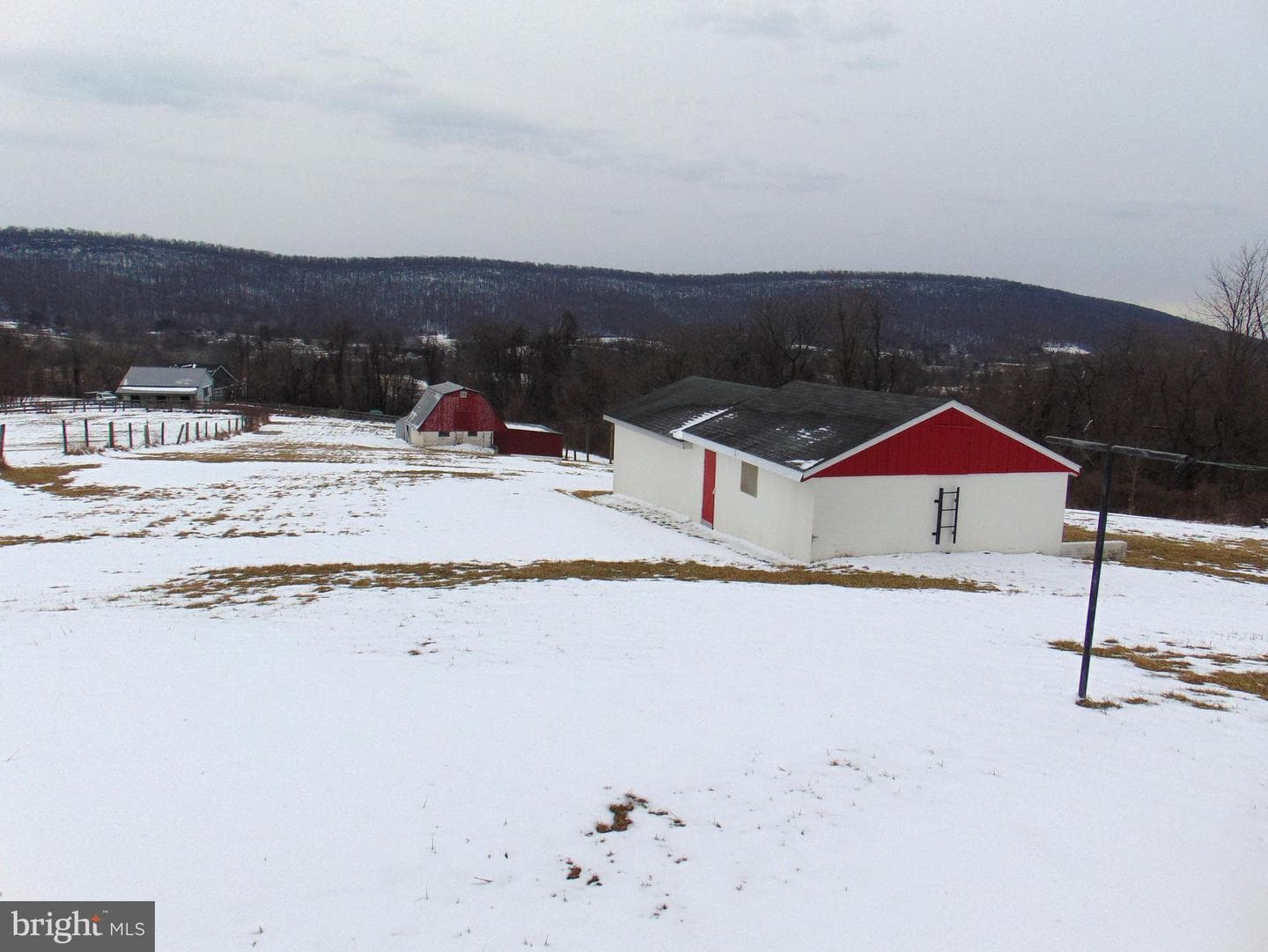 2029 Reed Road photo 65