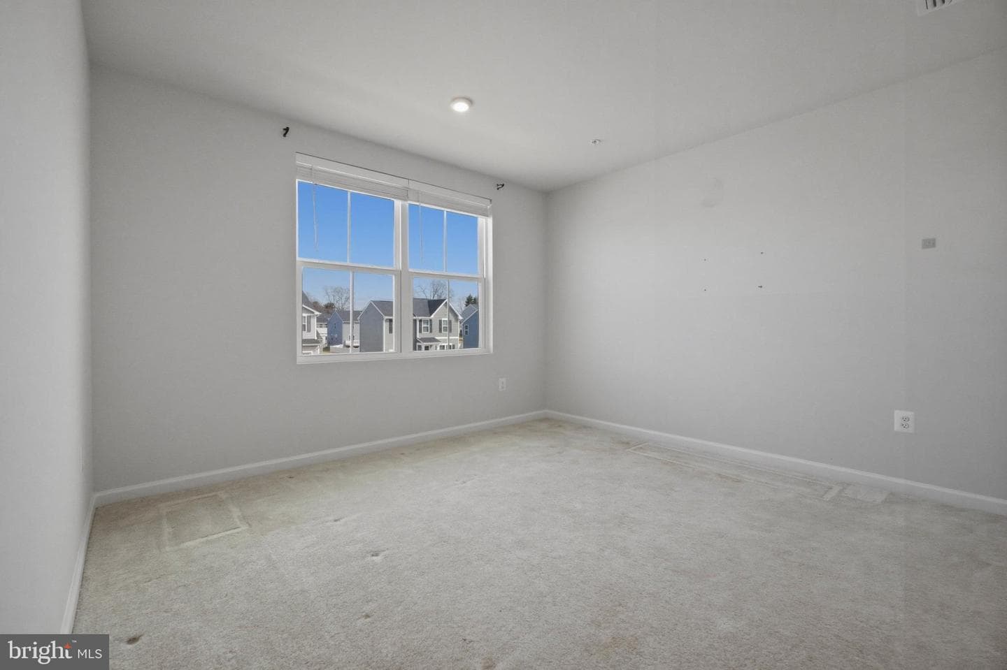 103 Charlotte Street photo 10