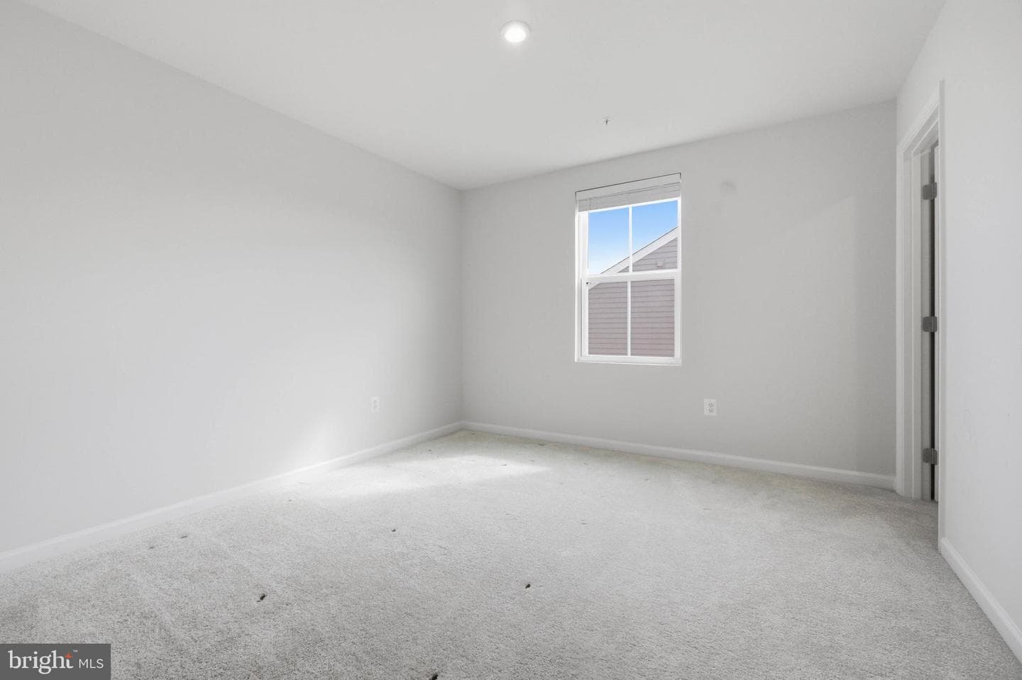 103 Charlotte Street photo 15