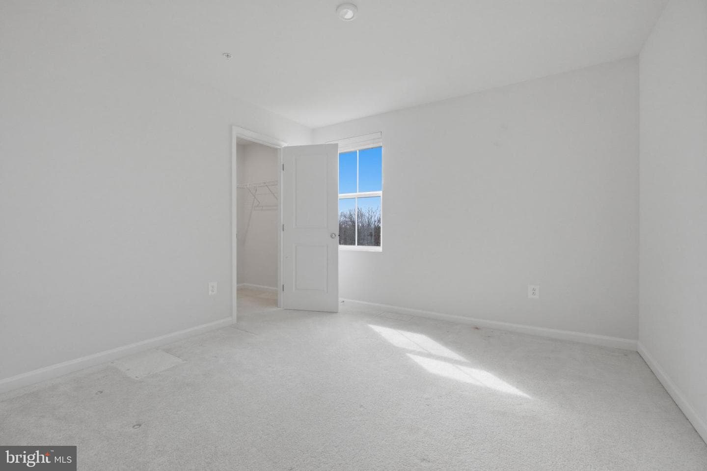 103 Charlotte Street photo 16