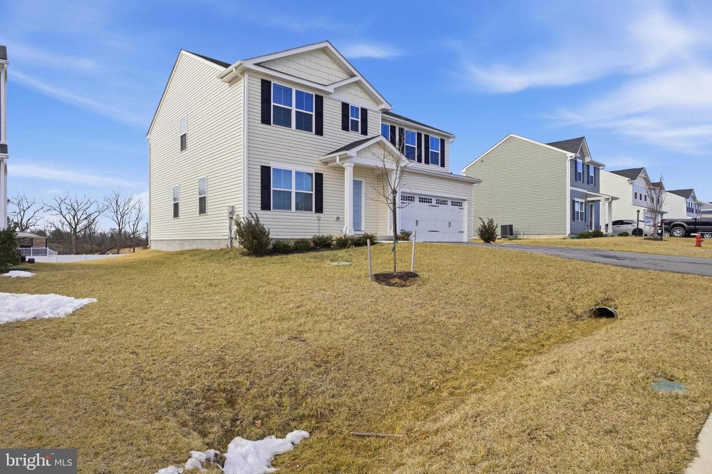 103 Charlotte Street photo 33