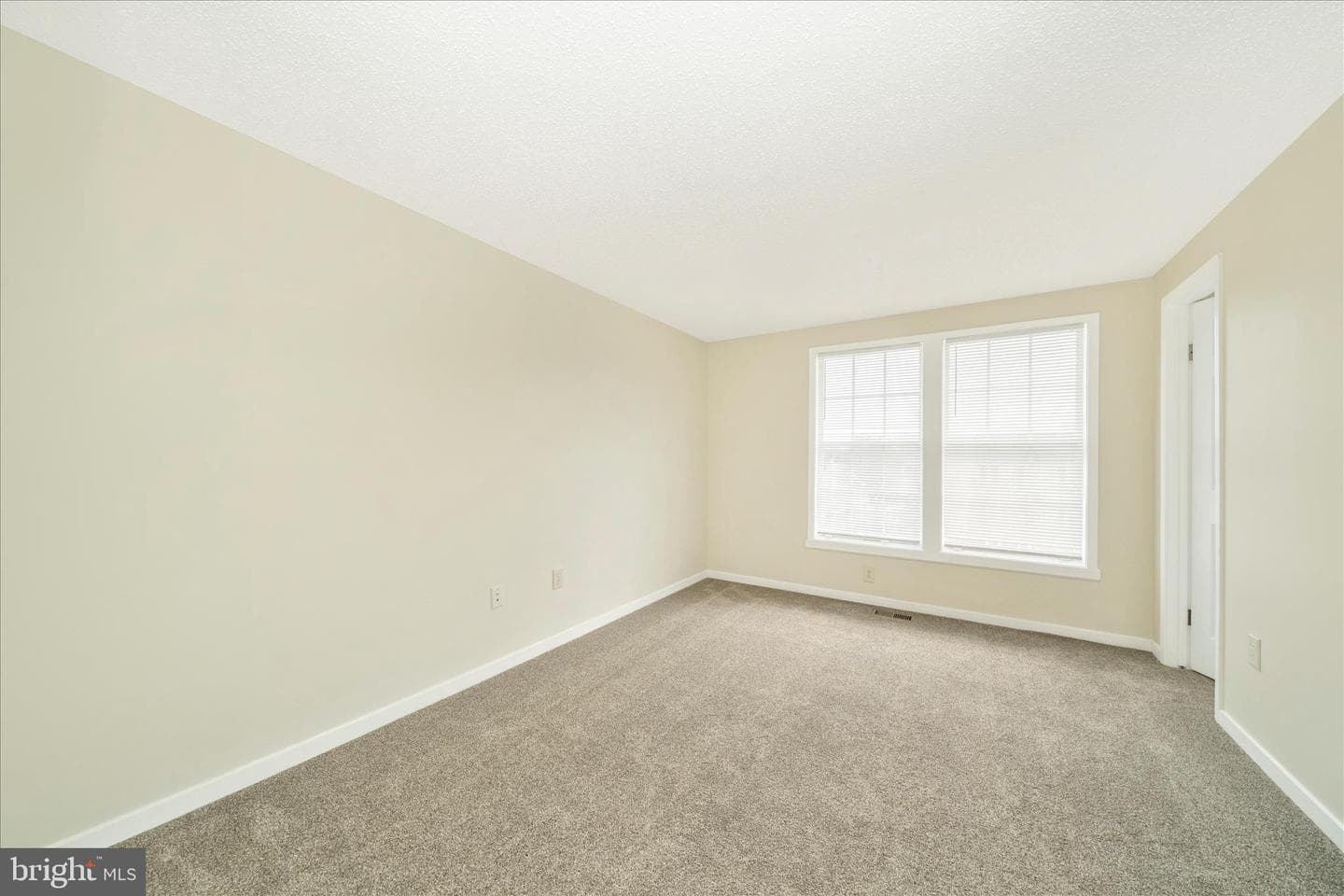 111 Tulip Court photo 19