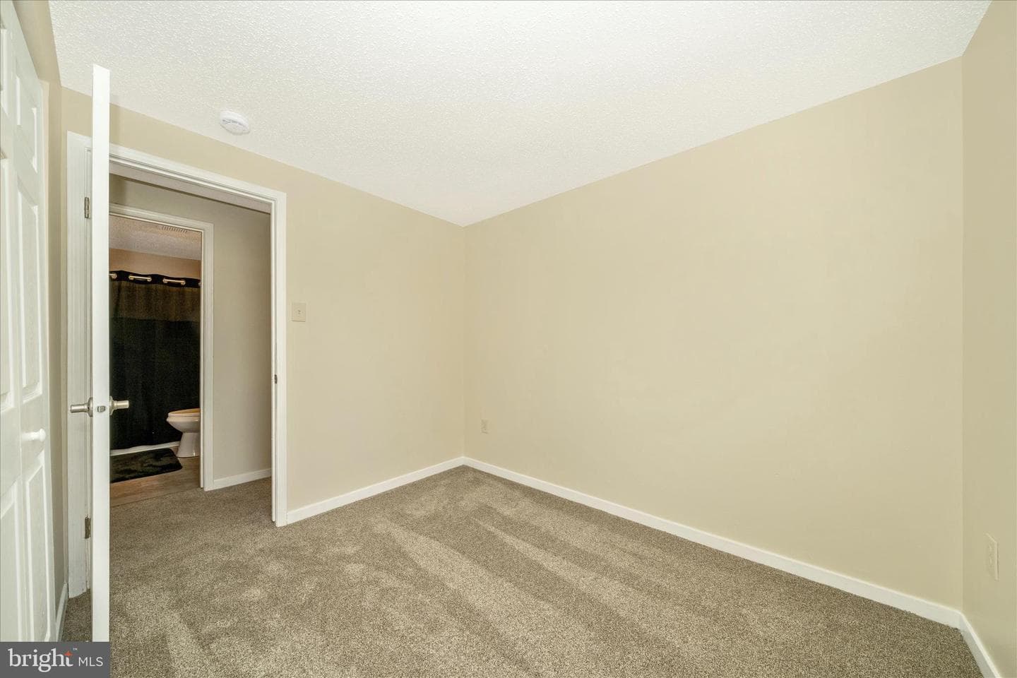 111 Tulip Court photo 23