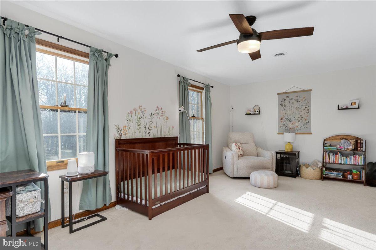 8704 Jans Court photo 26