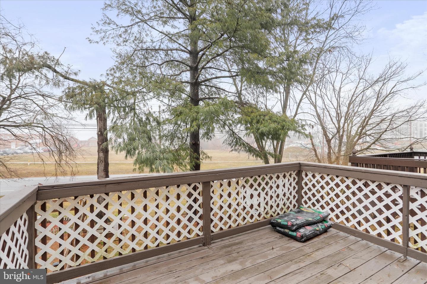 244 Lily Court photo 29