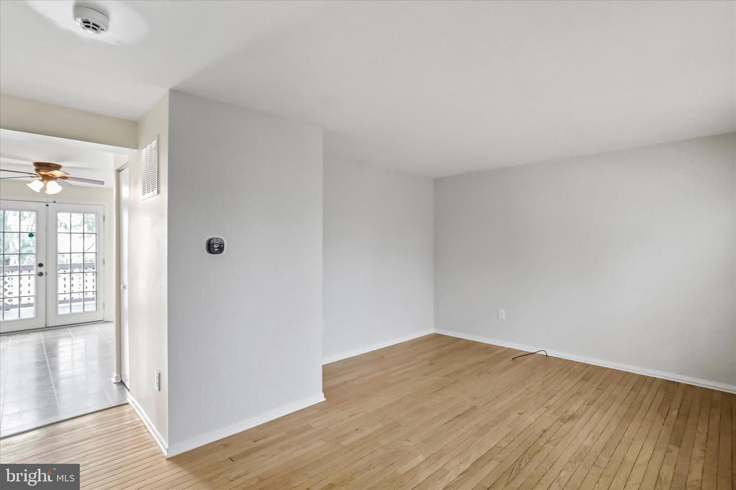 244 Lily Court photo 4