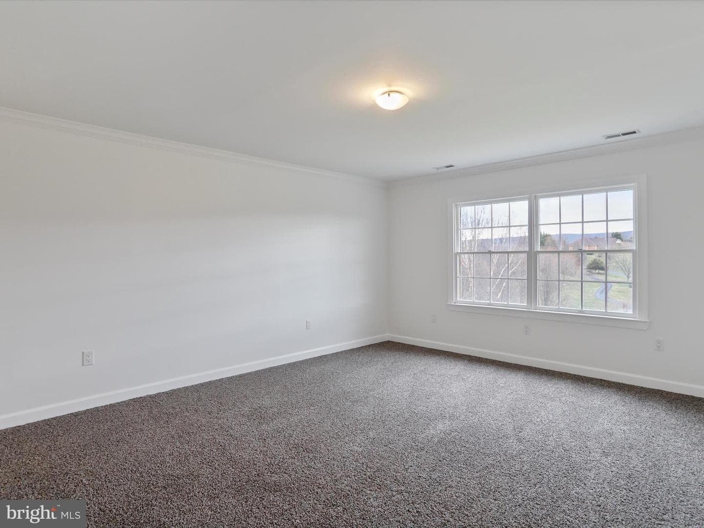 9812 Pembroke Drive photo 15