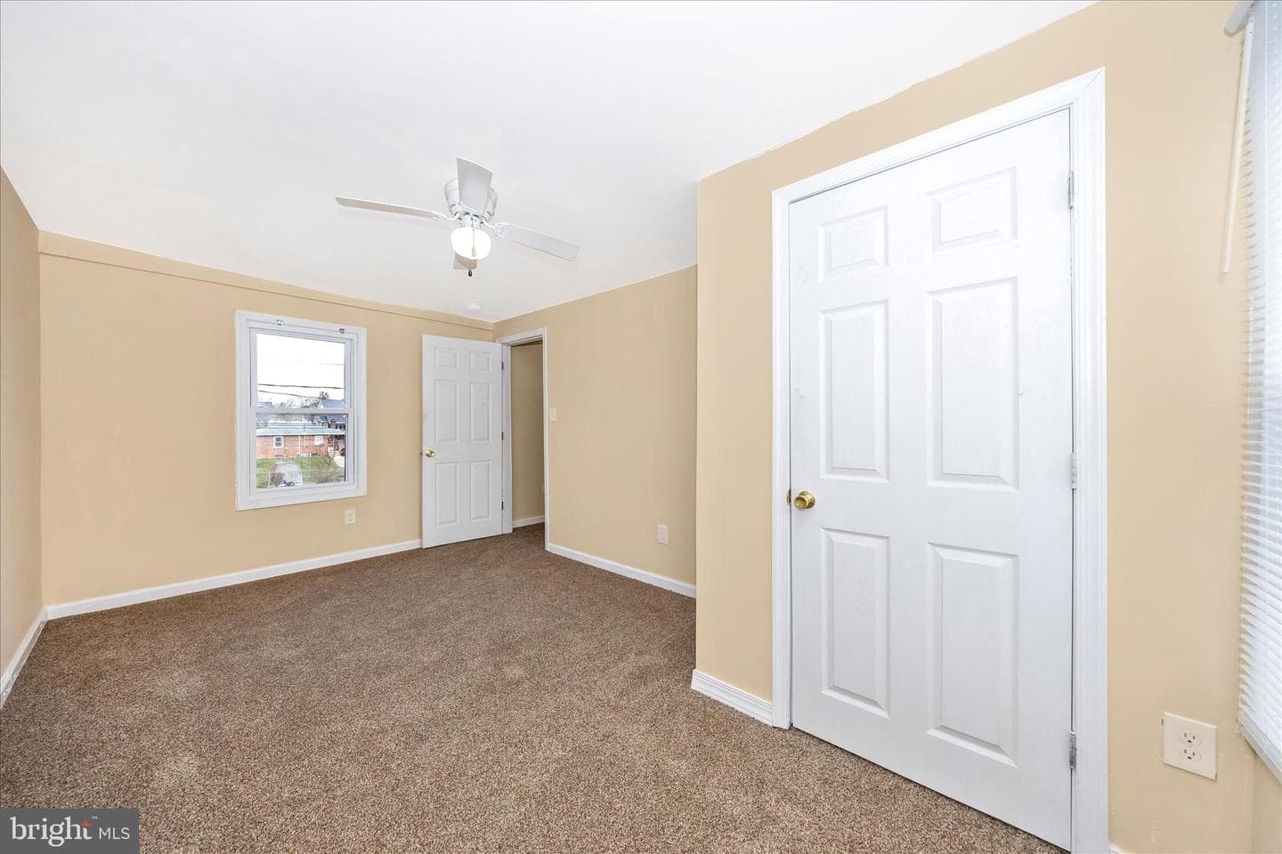 225 Alexander Street photo 23