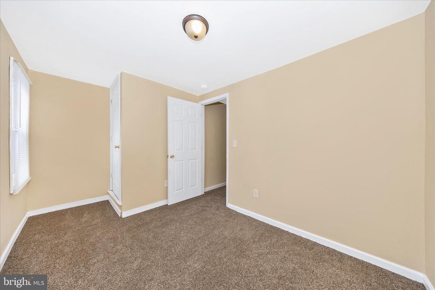 225 Alexander Street photo 29