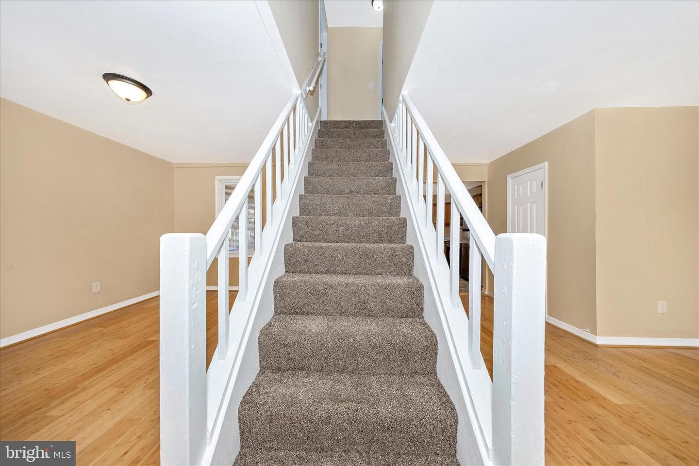 225 Alexander Street photo 3