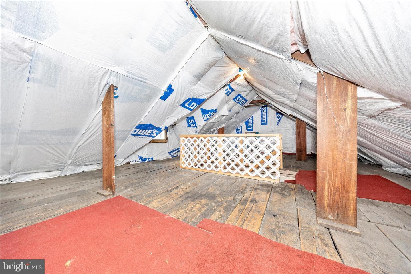 225 Alexander Street photo 35