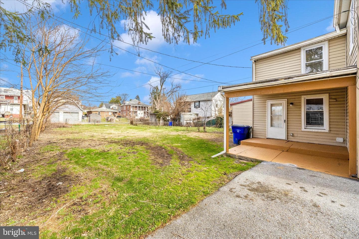 225 Alexander Street photo 48