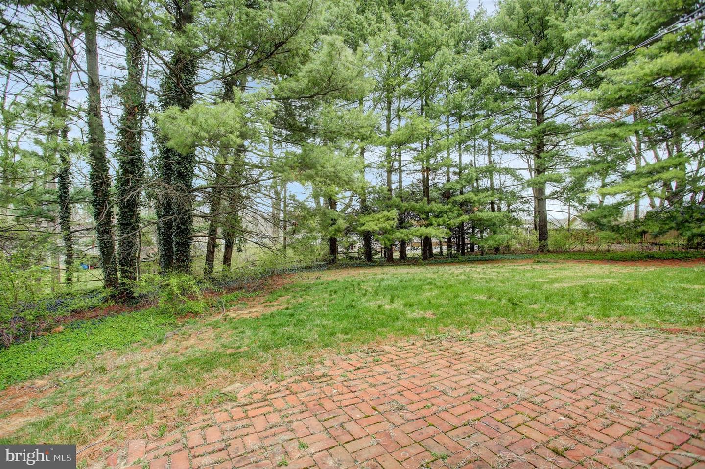 18514 Indian Cottage Road photo 53